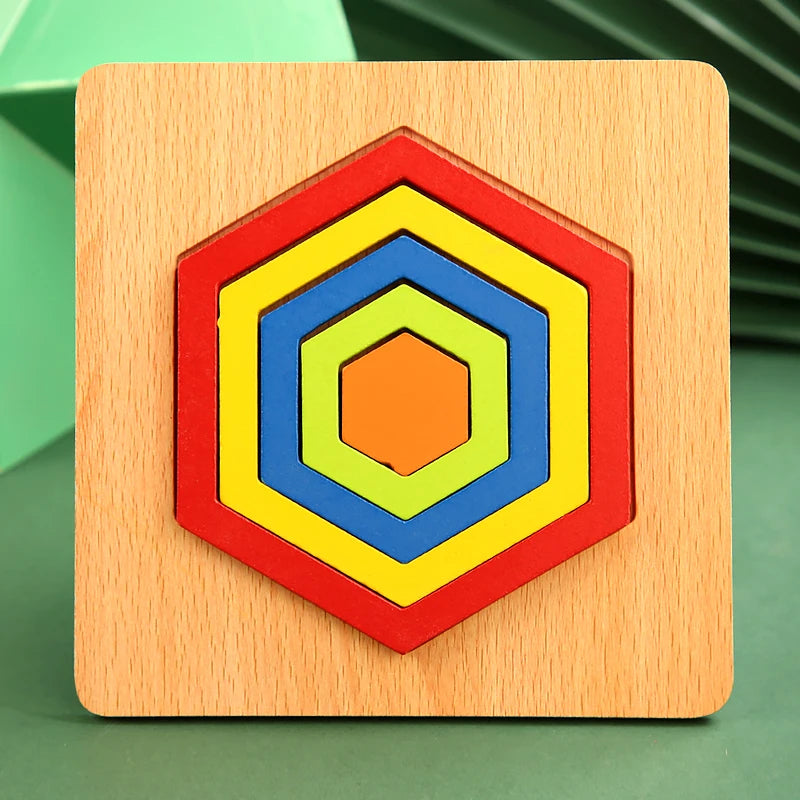 Geometric Puzzle Board