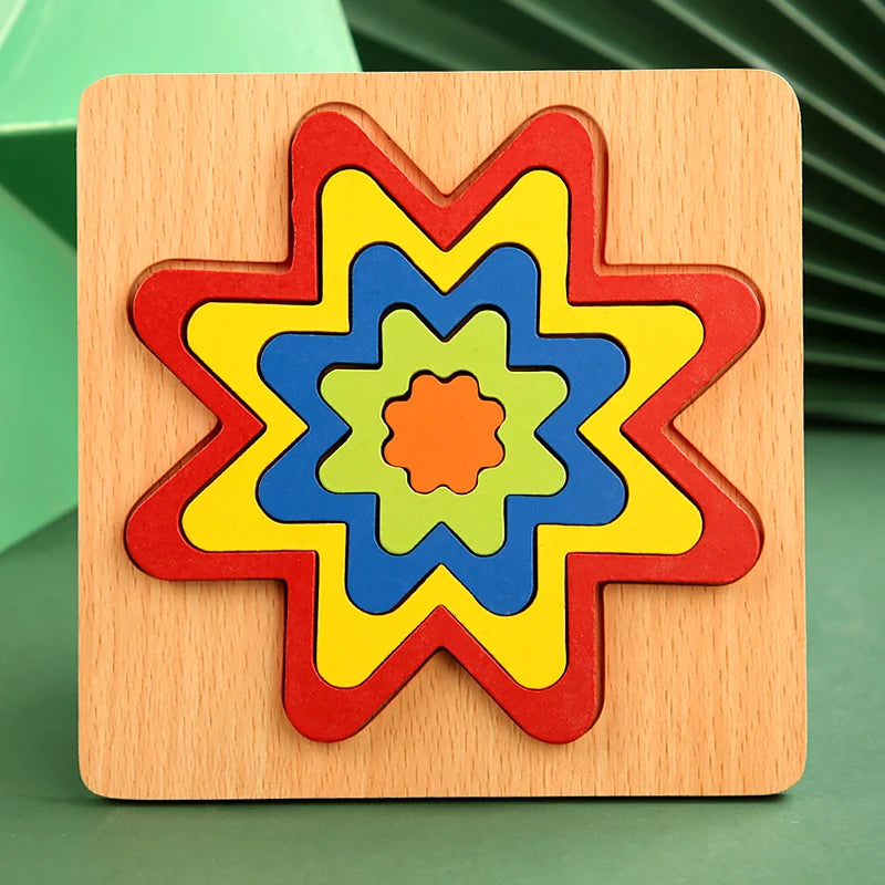Geometric Puzzle Board
