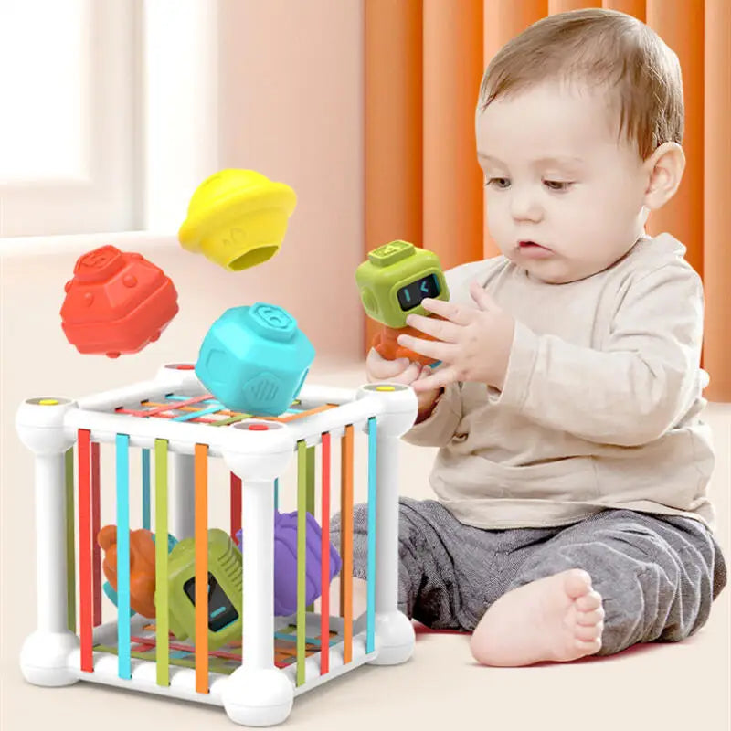 Shape Sorting Cube